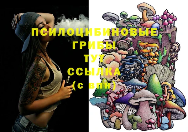 ГАЛЛЮЦИНОГЕННЫЕ ГРИБЫ Семёнов