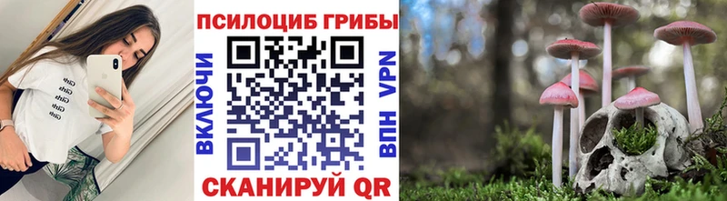 Купить закладки  Черепаново  Псилоцибиновые грибы Cubensis 